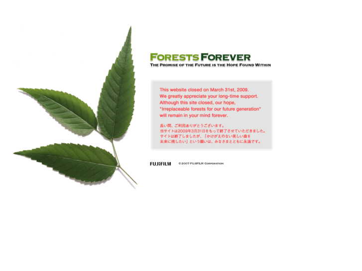 www.forests-forever.com