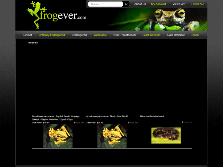 www.frogever.com