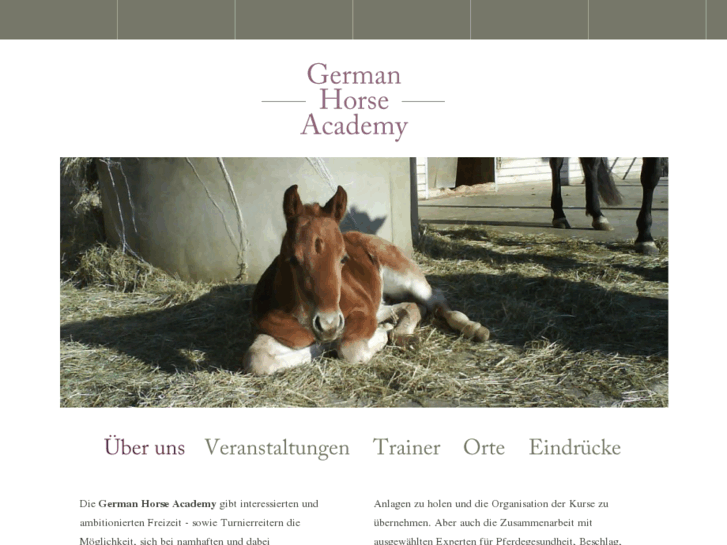 www.germanhorseacademy.com