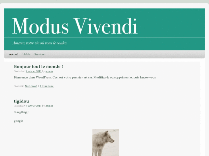 www.modusvivendi.biz