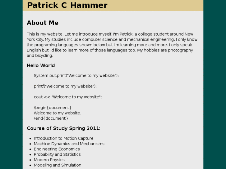 www.patrickhammer.com