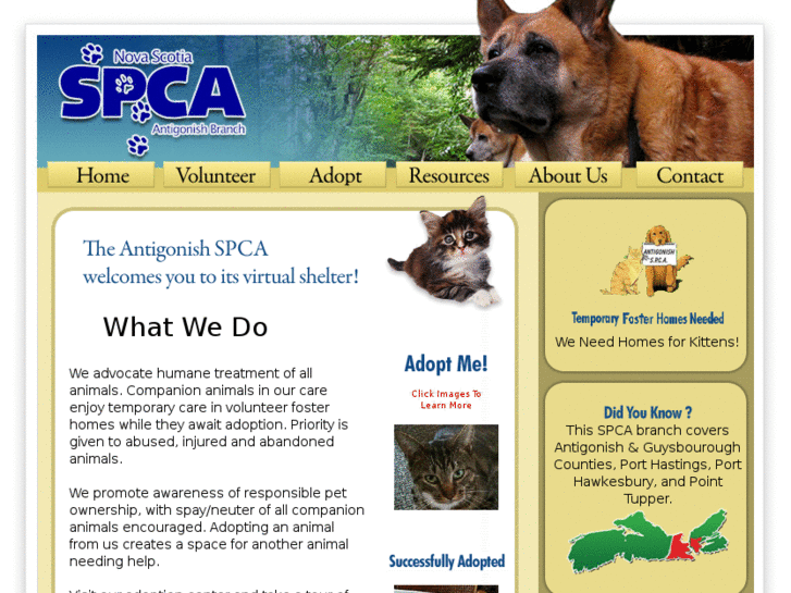 www.antigonishspca.ca