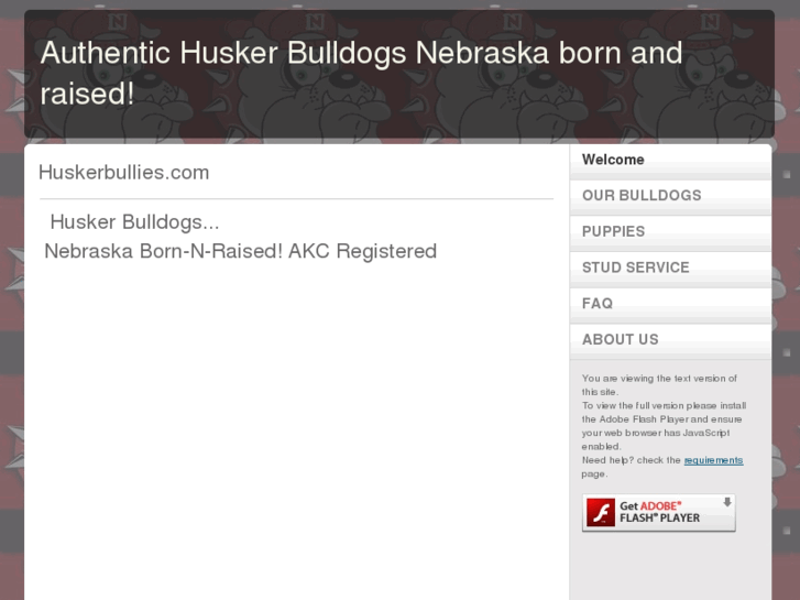 www.huskerbullies.com