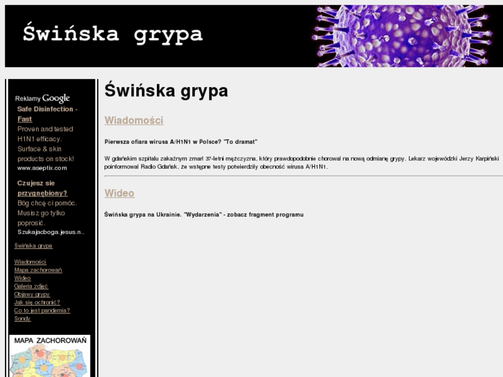 www.swinska-grypa.com