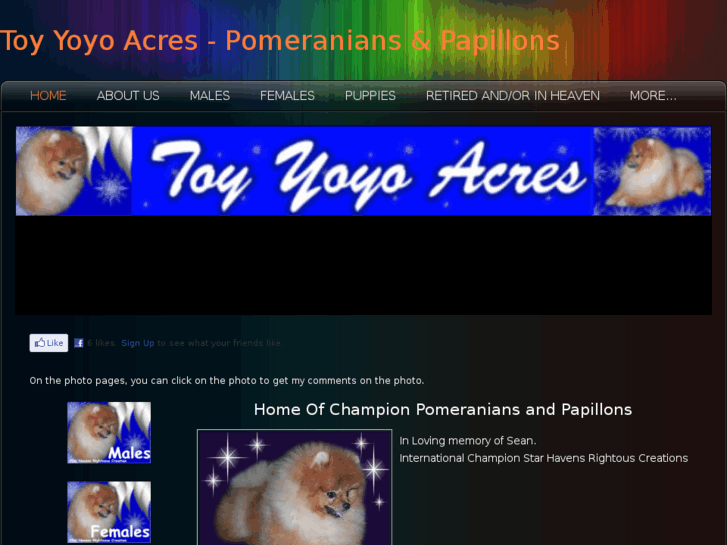 www.toyyoyoacres.com