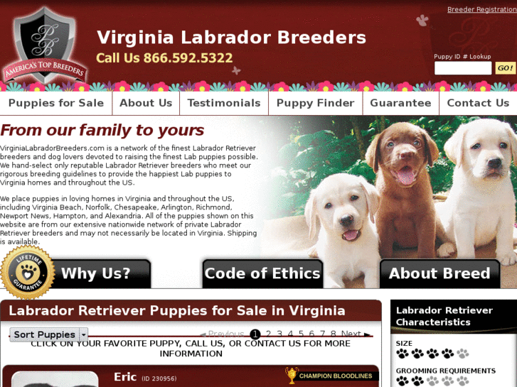 www.virginialabradorbreeders.com