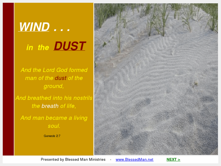 www.windinthedust.org