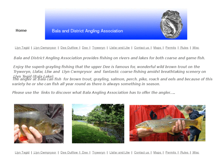 www.balaangling.co.uk