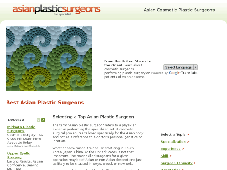 www.bestasianplasticsurgeons.com