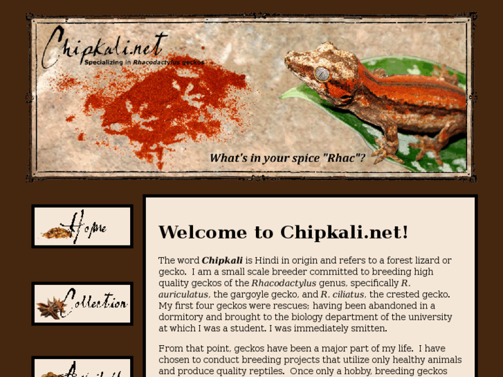 www.chipkali.net