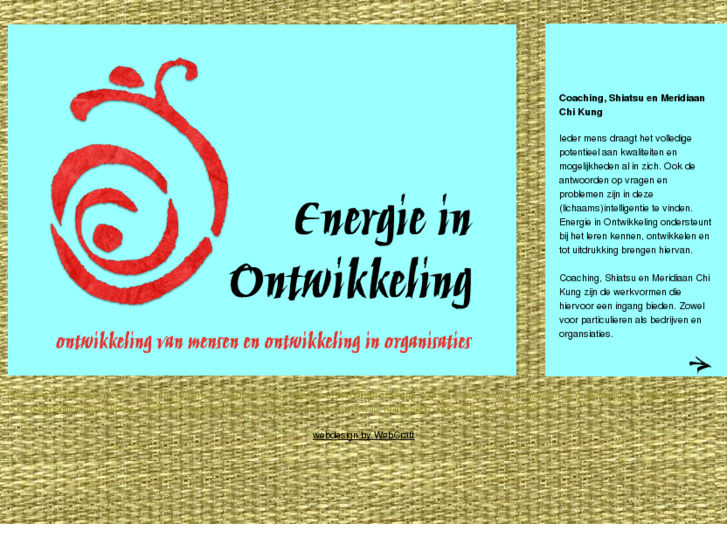 www.energieinontwikkeling.com