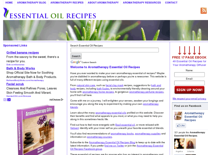 www.essential-oil-recipes.com