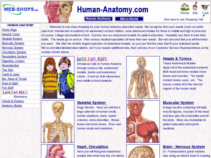 www.human-anatomy.com