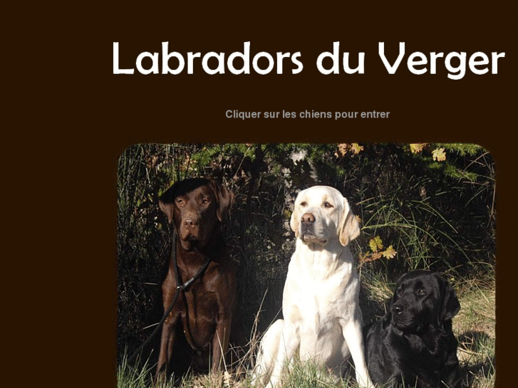 www.labradors-cevennes.com