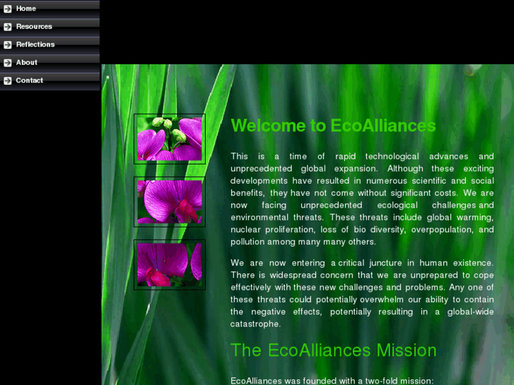 www.ecoalliances.com