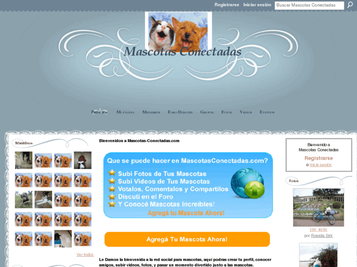 www.mascotas-conectadas.com