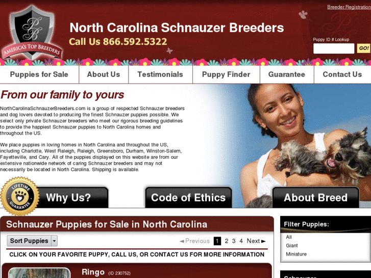 www.northcarolinaschnauzerbreeders.com