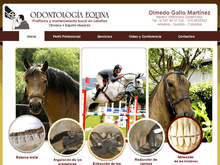 www.odonto-equina.com