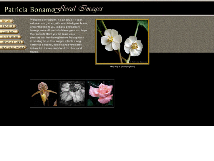 www.patfloral.com