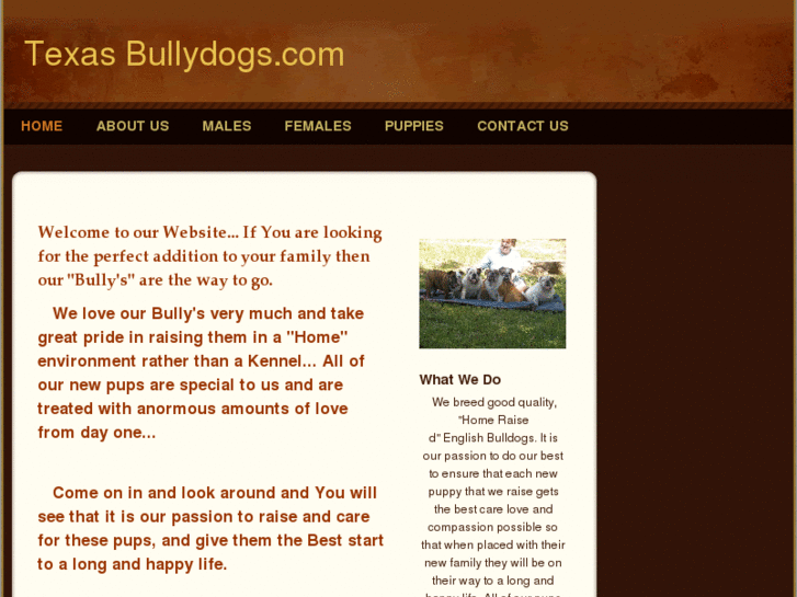 www.texasbullydogs.com