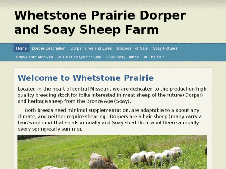 www.whetstoneprairie.com