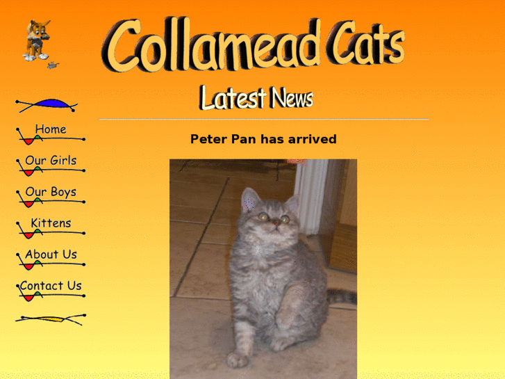 www.collameadcats.com