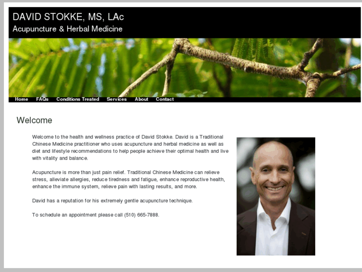 www.davidstokke.com