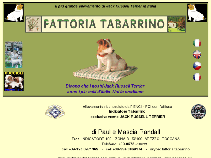 www.jackrusselltabarrino.com