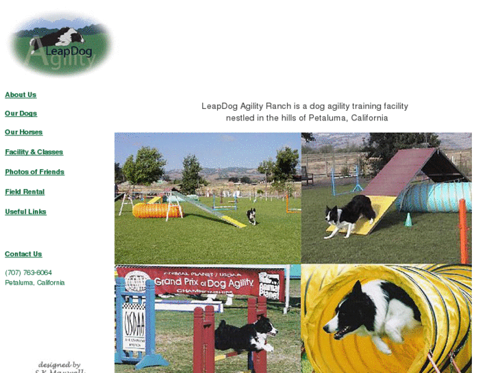 www.leapdogagility.com