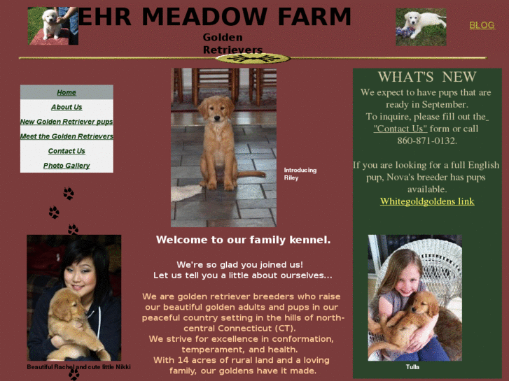 www.meadowviewgoldens.com