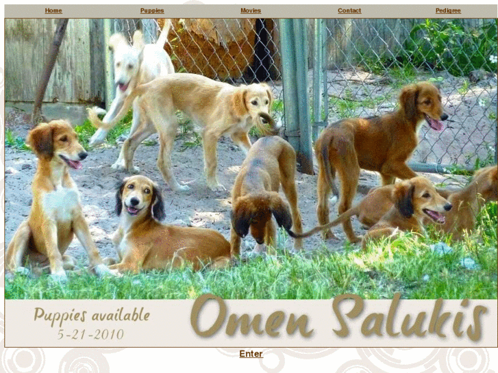 www.omensaluki.com