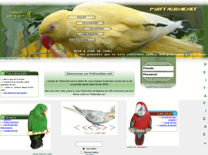 www.psittacidae.net