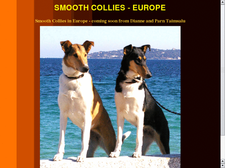 www.smooth-collies.eu