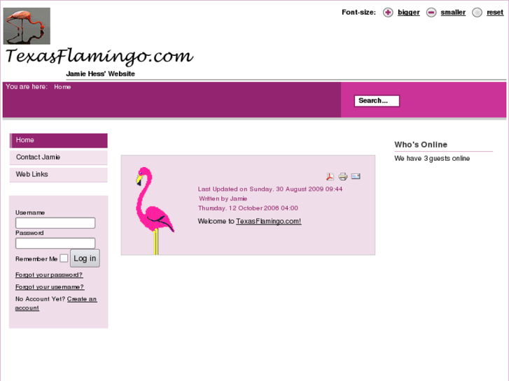 www.texasflamingo.com