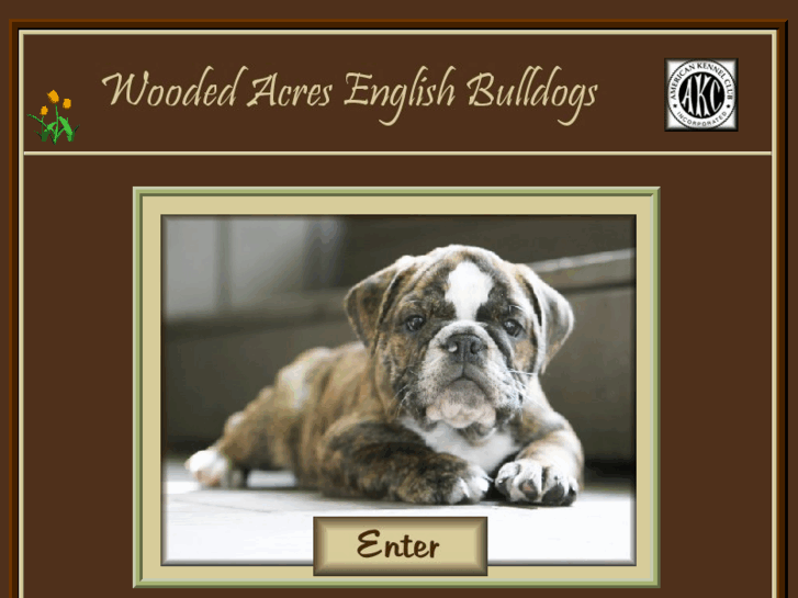 www.woodedacresbulldogs.com