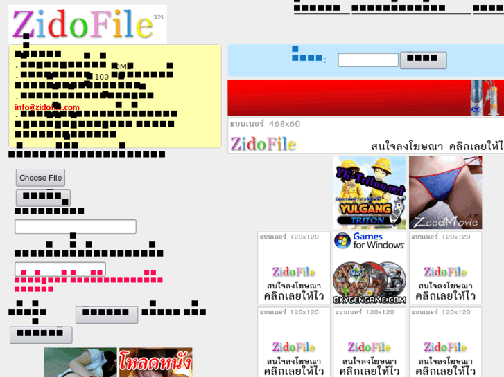www.zidofile.com