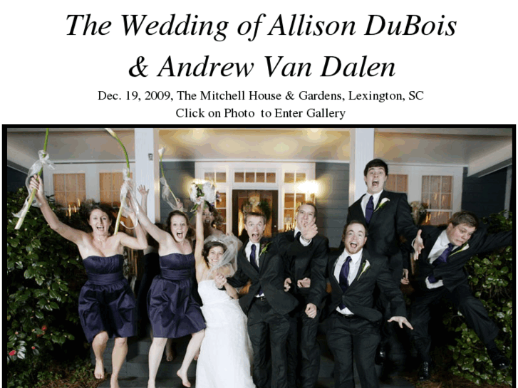 www.allisonandandrew.com