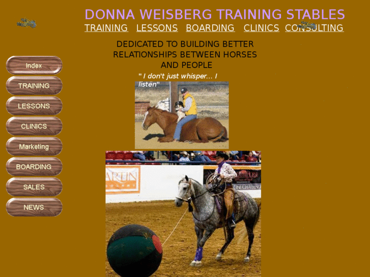 www.donnaweisbergtrainingstables.com