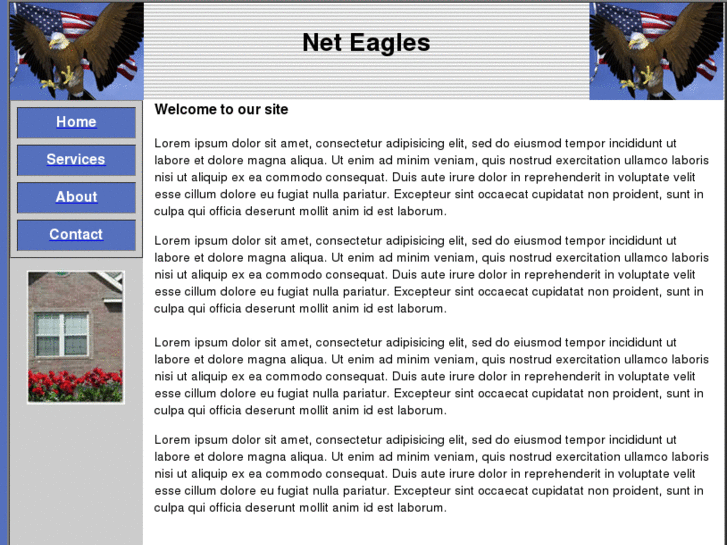 www.neteagles.info