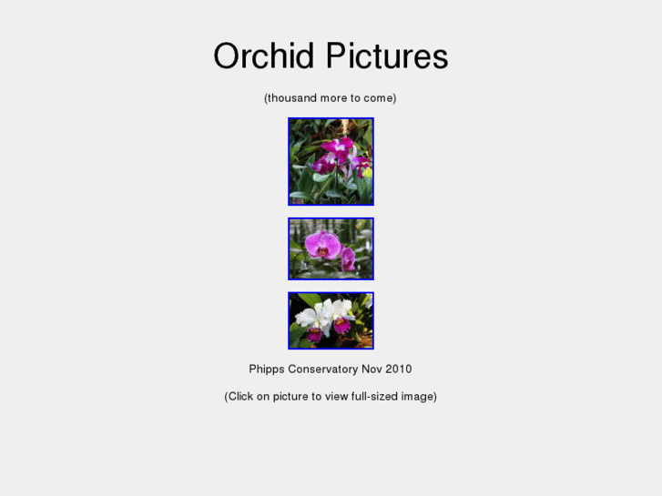 www.orchidpictures.org