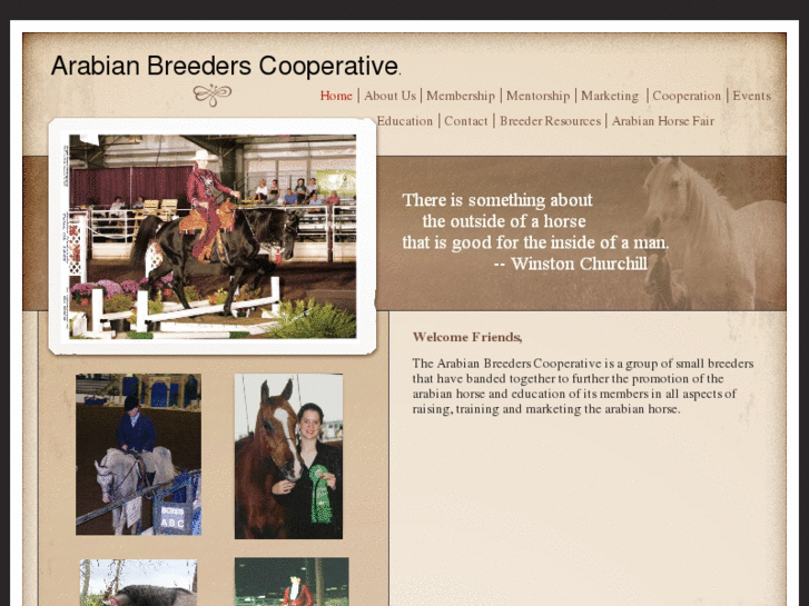 www.arabianbreederscoop.com