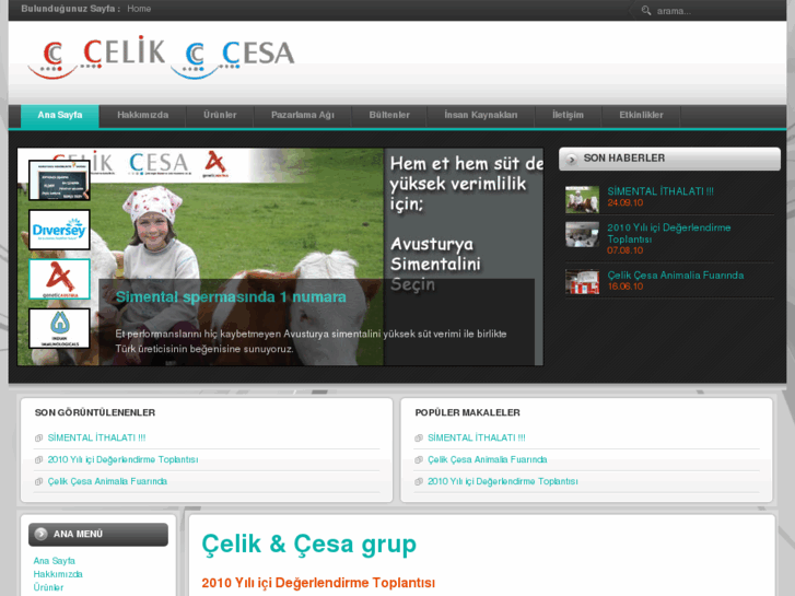 www.celikcesa.com