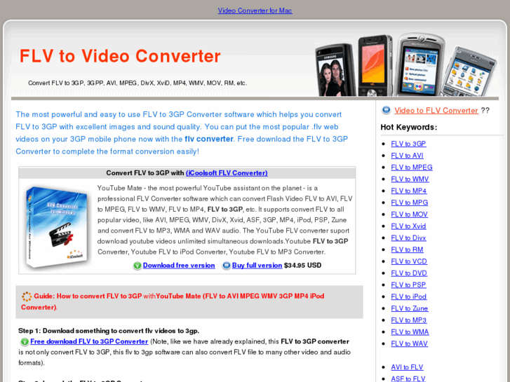 www.flvto3gpconverter.com