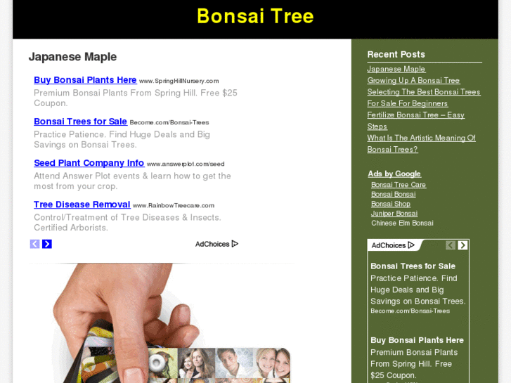 www.greatbonsaitree.com