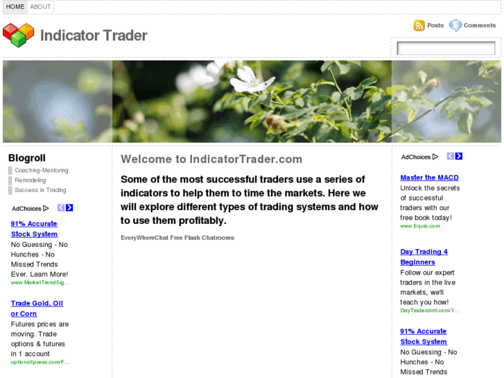 www.indicatortrader.com