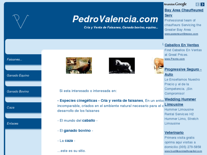 www.pedrovalencia.com