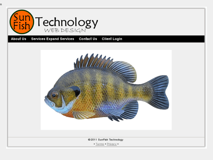 www.sunfishtech.com