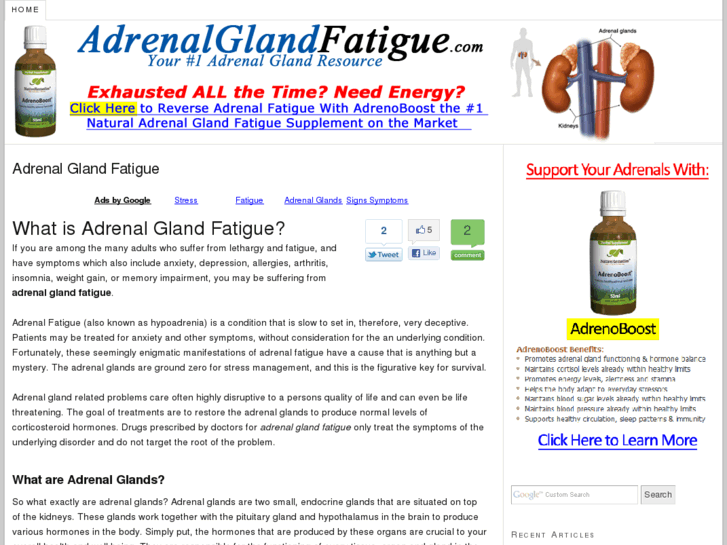 www.adrenalglandfatigue.com