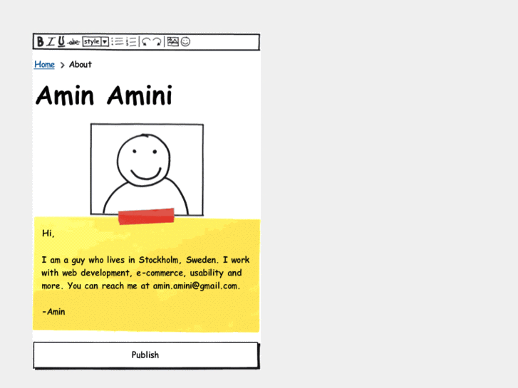 www.aminamini.com