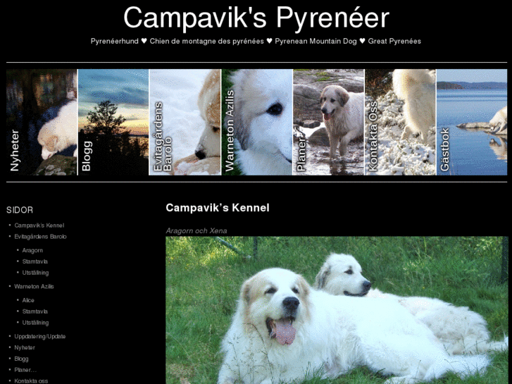 www.campaviks.se